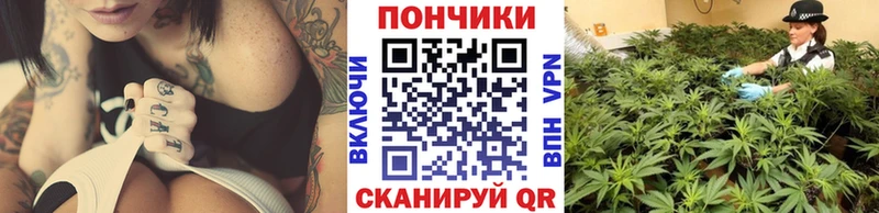 kraken зеркало  Алагир  Шишки марихуана гибрид 